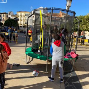 Cama elástica gigante