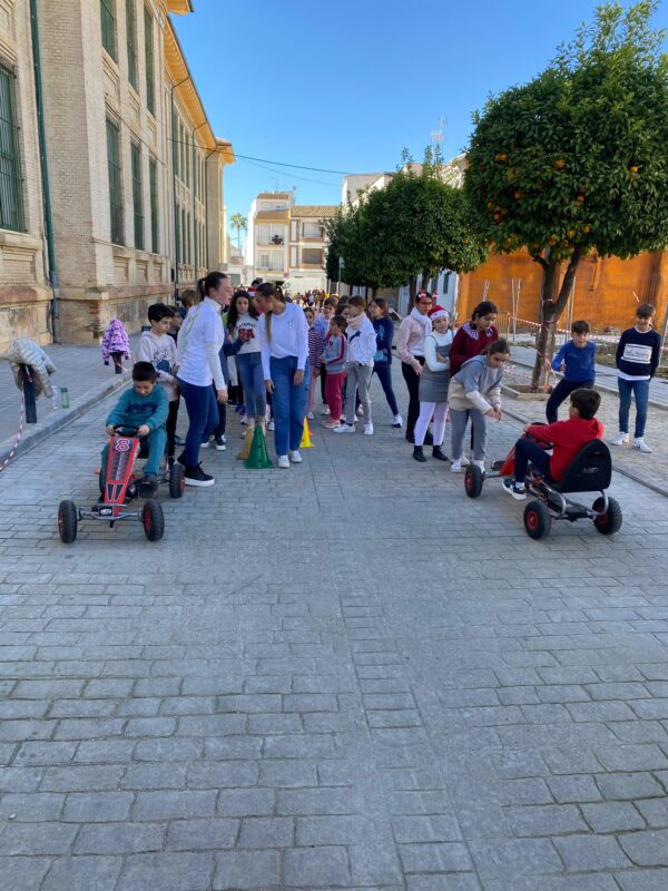 Carreras de cars