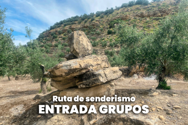 Ruta de senderismo GRUPOS (Mínimo 6 personas)